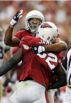 full.getty-71465299mw014_st_louis_rams_7_54_08_pm