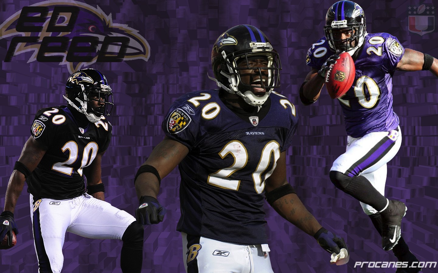 EdReed1440x900.jpg